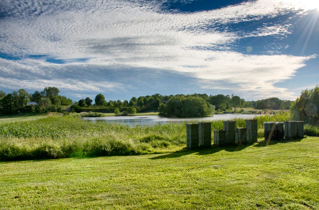 Bikupor vid Munsö, Ekerö. Fotograf: Mats Andersson www.bubbelbubbel.se