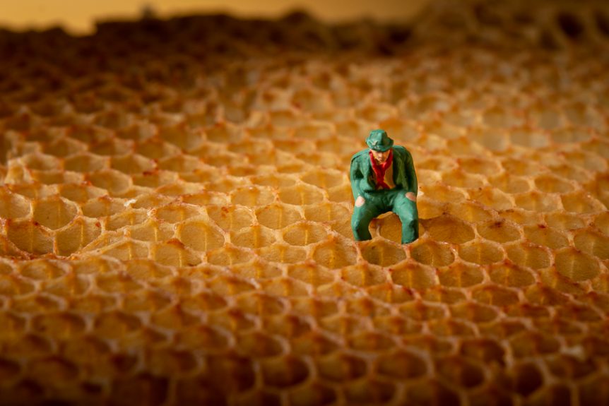 Miniatrure figure on honeycomb. Photo by Mats Andersson, Stenhamra. www.bubbelbubbel.se