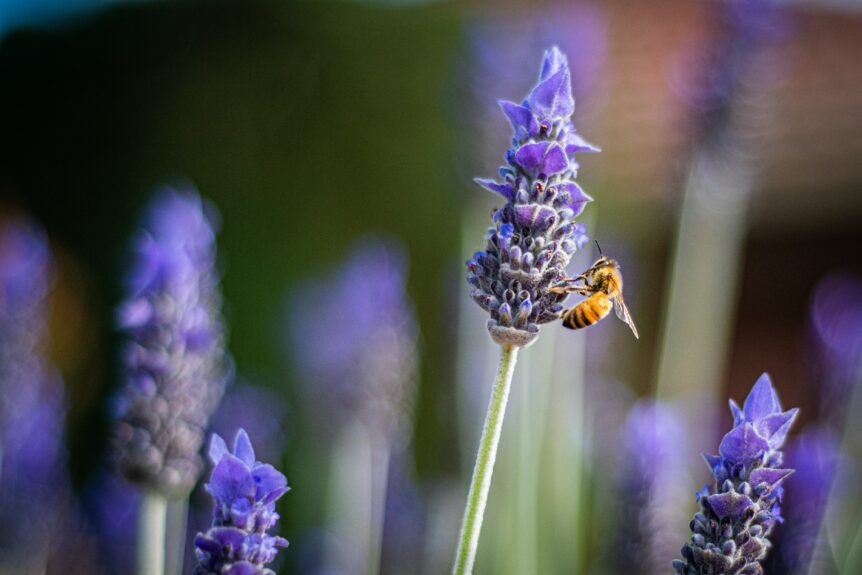 Photo by Heather McKean on Unsplash